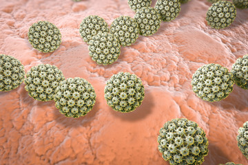 Human papillomaviruses on surface of skin