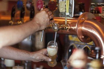 bar, alcohol, pub, establishment, drink, beer