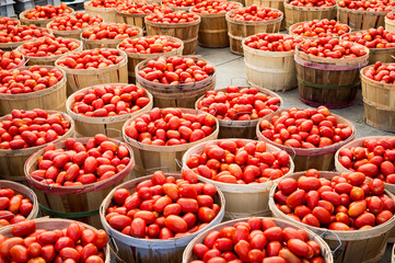 Many Roma tomatoes in baskets at the market