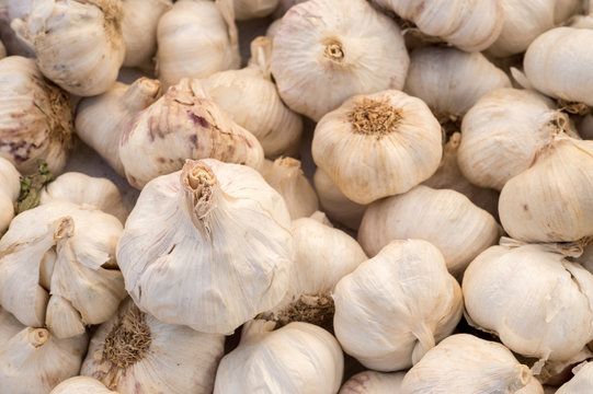 Many garlic cloves at the market