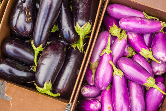 Black and Violet eggplants at the market
