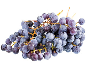 Fresh blue grapes isolated on a white background