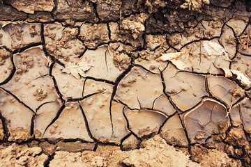 Dry cracked soil