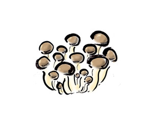 しめじ