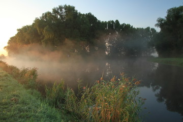 Fototapeta na wymiar Morgennebel über einem Fluss in Mecklenburg