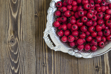 hawthorn berries    