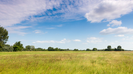 hungarian grass land