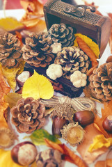 Small decorative treasure chest with pine cones, chestnuts, acorns and autumn leaves. Autumn scene. Autumn background. Fall. Nuts.