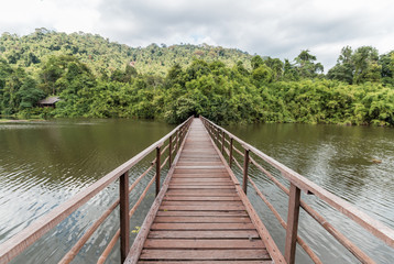 Wooden bridge across river