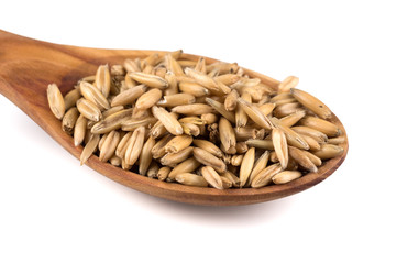 organic oat grains