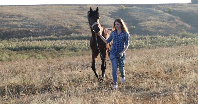 Woman lead horse walking field sunrise cowgirl countryside