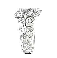 hand drawn graphic bouquet of roses on white background