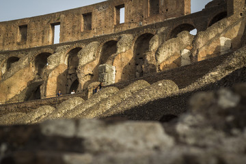 Colosseum - 120409977