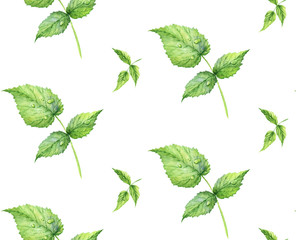 Seamless pattern. Hand drawn watercolor realistic illustration. Green raspberry leaf. Isolated on white background. Summer, light, airy pattern. Juicy, fresh, eco-friendly.
