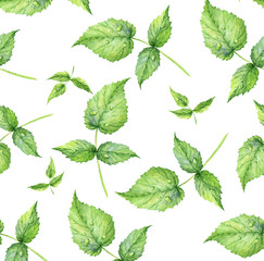 Seamless pattern. Hand drawn watercolor realistic illustration. Green raspberry leaf. Isolated on white background. Summer, light, airy pattern. Juicy, fresh, eco-friendly.