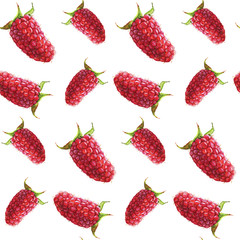 Seamless pattern. Hand drawn watercolor realistic illustration. Ripe red raspberry. Isolated on white background. Red berries. Juicy, fresh, eco-friendly.