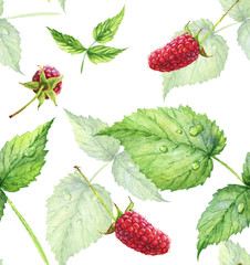 Seamless pattern. Hand drawn watercolor realistic illustration. Ripe red raspberry. Isolated on white background. Red berries. Juicy, fresh, eco-friendly.