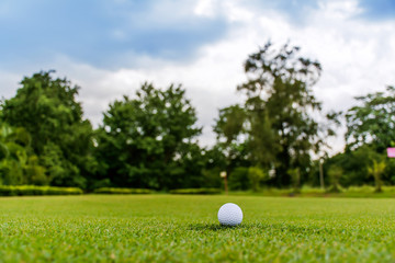 Golf ball on the green