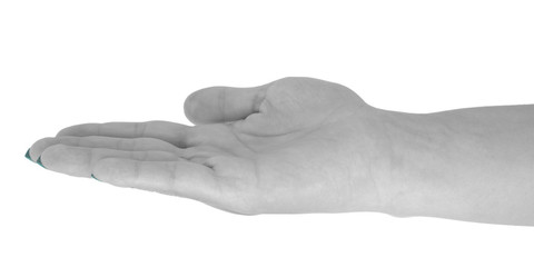 Palm up giving something, middle-aged woman's skin, cyan manicure. Isolated on white background