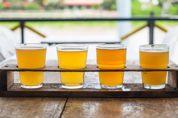 Craft beer in the glass