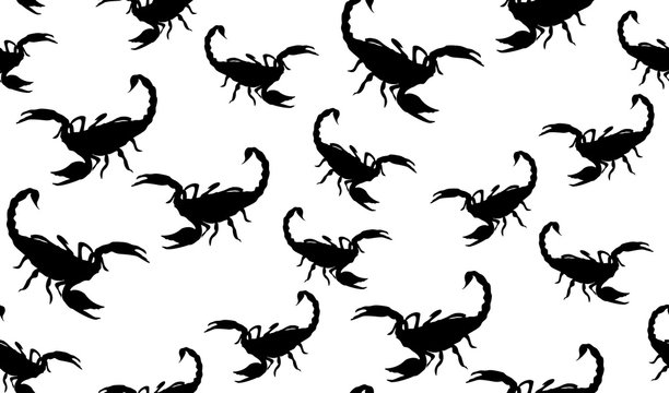 Vector seamless pattern of Scorpion