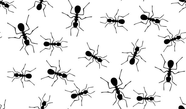 Vector seamless pattern of ants.