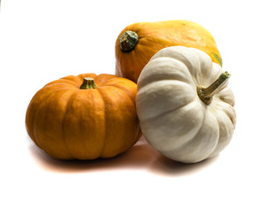 Zierk&uuml;rbisse isoliert auf wei&szlig;