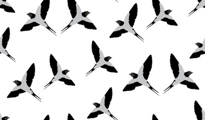 Obraz na płótnie Canvas Vector seamless background of swallow. The texture of the swallows is located by chance