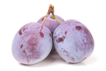 three plums isolated on white background