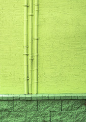 green wall facade