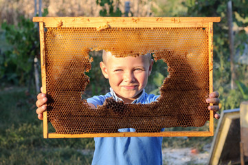 Smiling boy holding frame of honeycomb
