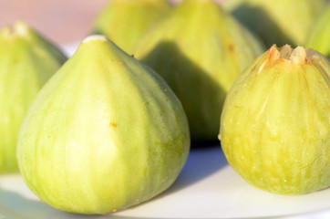 Frische Feigen vom Baum