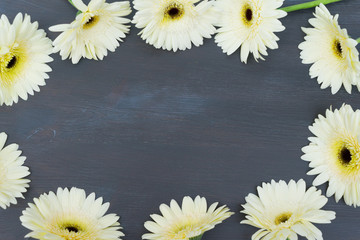 Fototapeta premium Beige gerbera flowers frame on dark wooden table close up