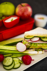 Take away food. Tasty and healthy food in plastic lunch box on dark background. Bento box. 
