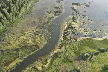 Aerial view - swamps, marshes, bogs