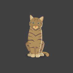 tiger cat vector illustration