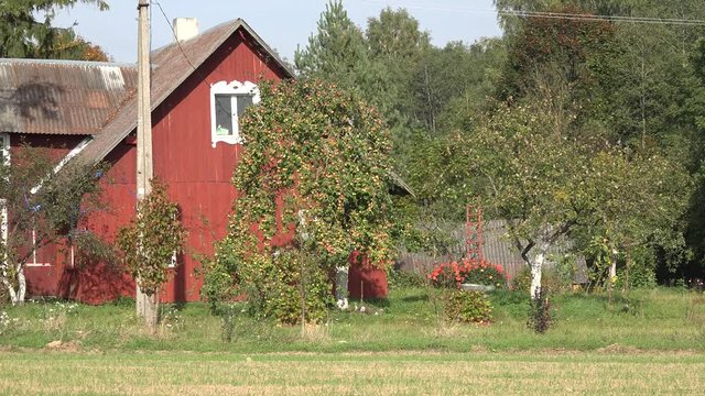 Rural grange house yard in autumn season. Panorama. 4K