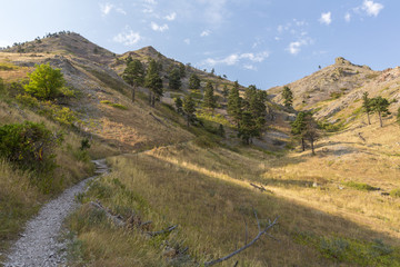 Fototapeta na wymiar Bear Butte Hiking Trail