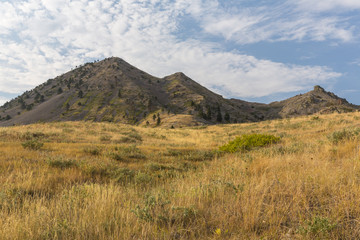 Obraz premium Bear Butte / A scenic mountain like butte in South Dakota.