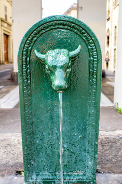 Little fountain with bull head in Turin city in Italy