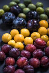 varieties of plums from orchand