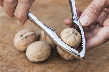 Nutcracker and walnuts