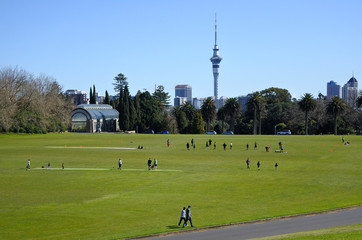 Landscape of Auckland Domain New Zealand