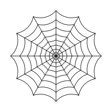 Cobweb vector