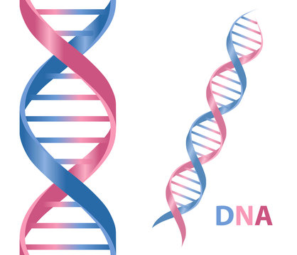 Dna