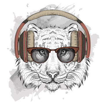 The image of the tiger in the glasses and headphones. Vector illustration.