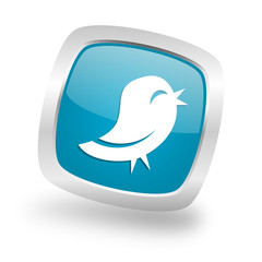 twitter square blue glossy chrome silver metallic web icon
