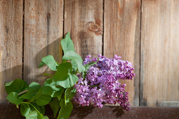 Lilac branch against the wooden background