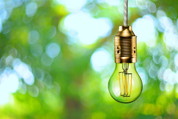 LED filament ecologic bulb