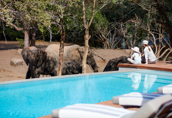 Family safari © TravelPhotoBloggers